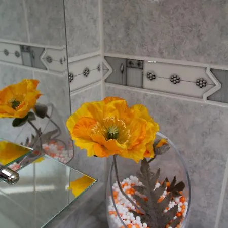 Casa Da Ribeirinha Sabugueiro (Guarda)