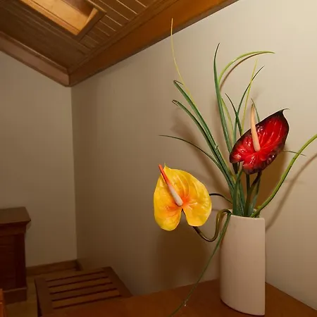 Casa Da Ribeirinha Πανσιόν 4*