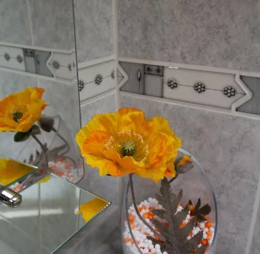 Casa Da Ribeirinha Sabugueiro (Guarda)